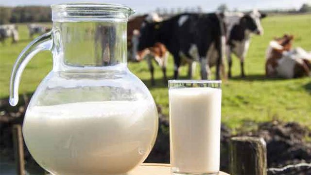 Sri Lanka produces only 43% of its daily milk needs locally: Deputy Minister