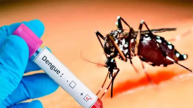 Sri Lanka's dengue death toll rises to 61 as cases exceed 80,000
