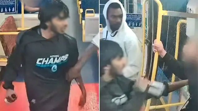 Sri Lankan-born man given eight months over Brisbane train bottle attack