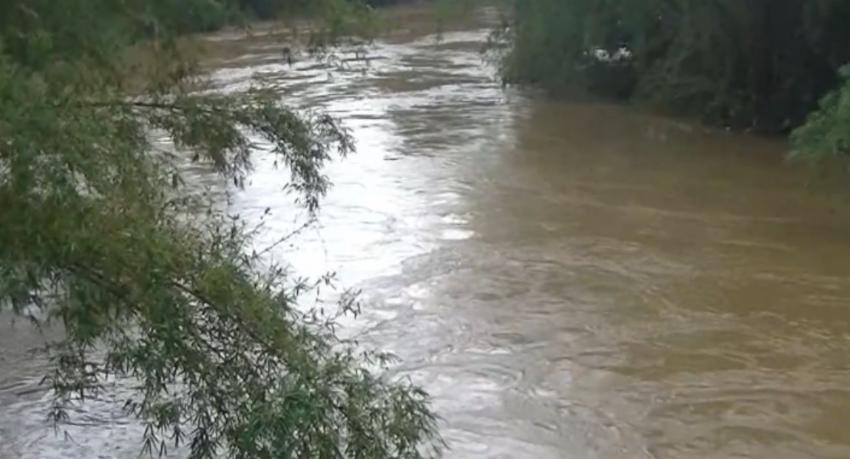 Mahaweli floods swamp Peradeniya bridge repair site; 16 houses inundated in Nawalapitiya