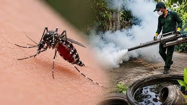 Health Minister sets two-year target to eradicate dengue