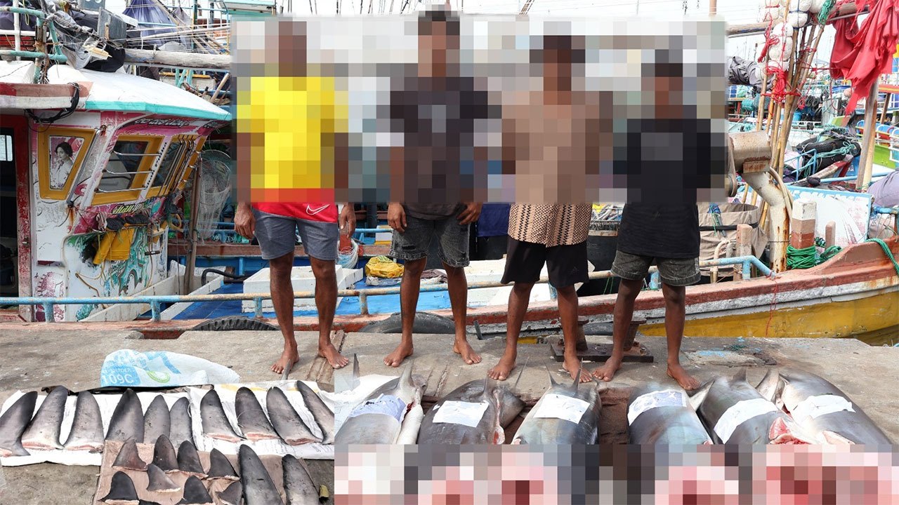 Four fishermen arrested with 223kg of protected shark meat and fins