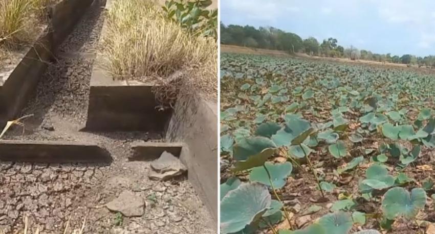 Dry weather now affecting 68,041 people, with Monaragala worst hit