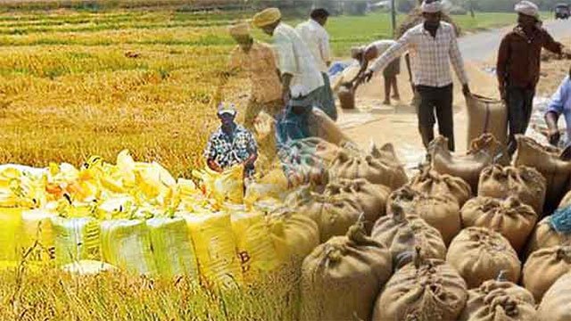 Small rice mills offered Rs. 25mn interest-free loans to buy Yala paddy