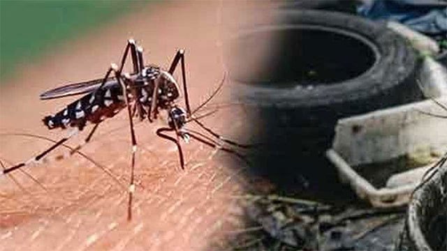 Health Ministry launches community dengue pilot in Colombo District