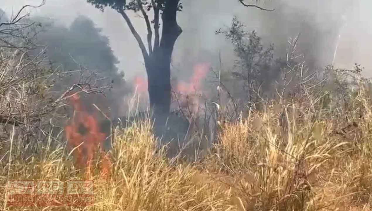 Over 100 acres burnt in fire at Hurulu reserve in Habarana
