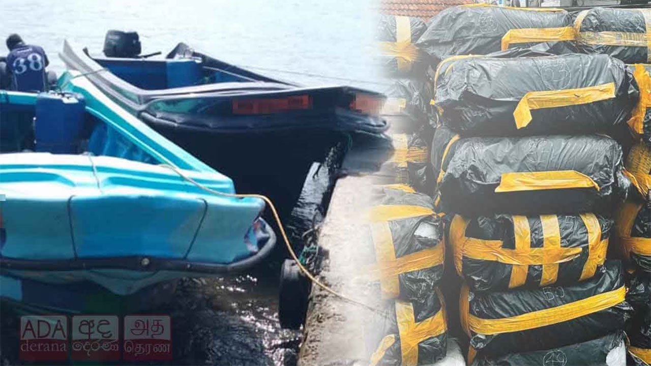 Navy seizes 2,276 kg of smuggled Kendu leaves at Negombo