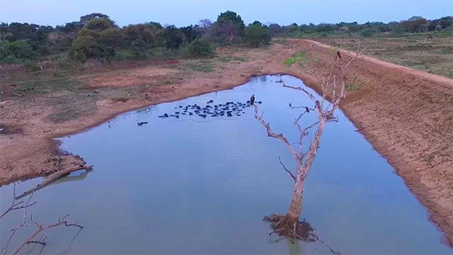 Islandwide reservoir storage falls to 36% as dry zone tanks near empty