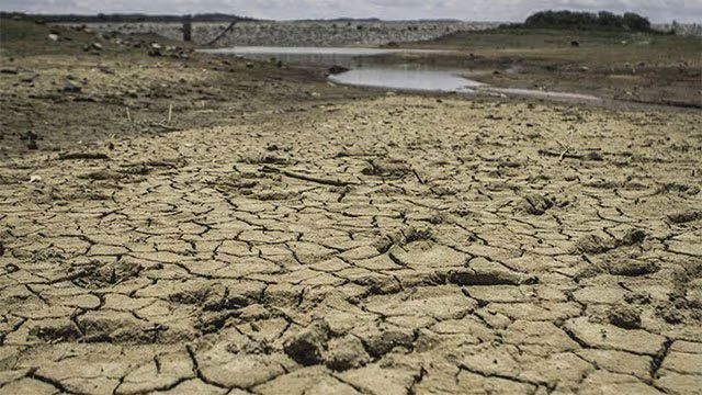 Government reviews importer stocks as El Niño threatens food supplies