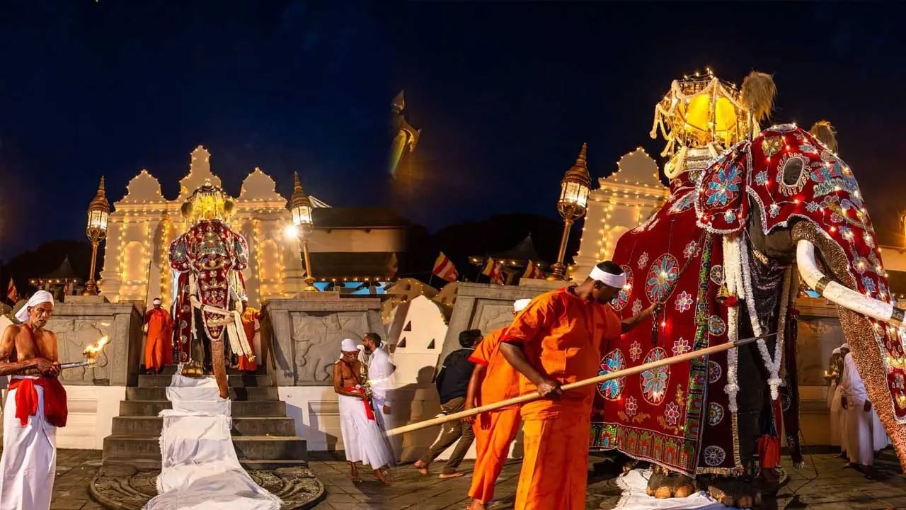 Final Randoli Perahera parades in Kandy behind tusker Wasana