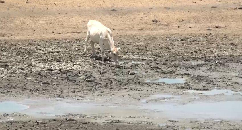 Reservoirs fall to single digits as drought bites, with Kantale at 30%