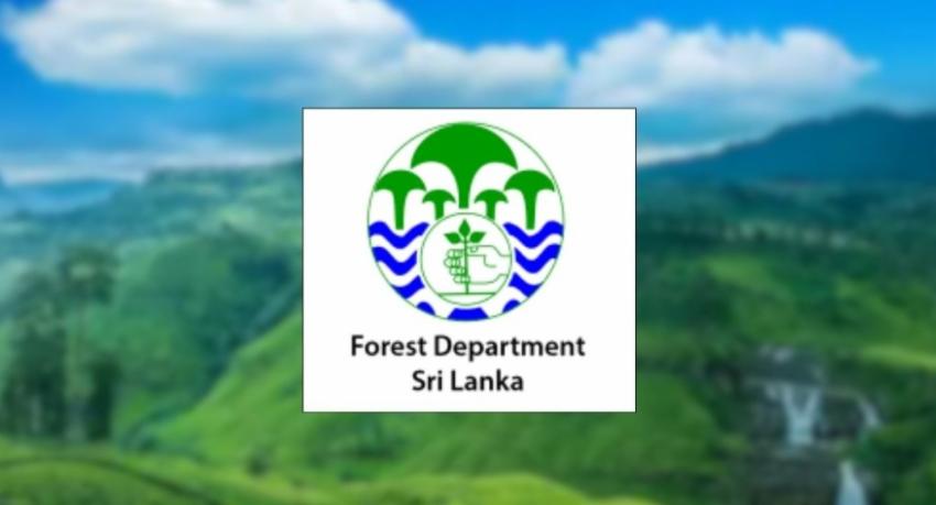 Nuwara Eliya to gazette 1,500 hectares of forest land around water sources as protected zones