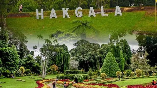 Conservation and tourism projects planned for Hakgala Botanical Garden