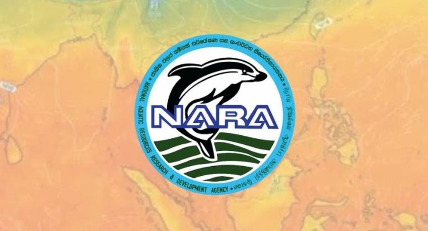 NARA begins multi-agency analysis of El Niño's effect on fish stocks