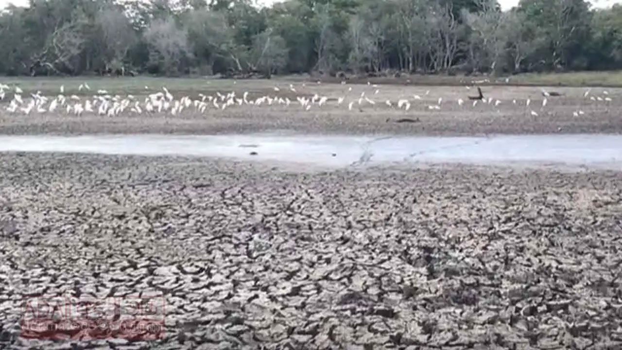 Water in 612 Anuradhapura tanks falls below 5% as Rajarata drought deepens