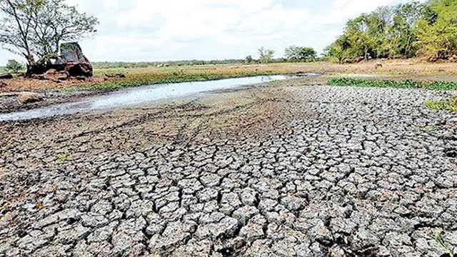 Dry weather now affects 88,068 people, as Cabinet allocates Rs. 3bn for 8,000 acres of ruined crops