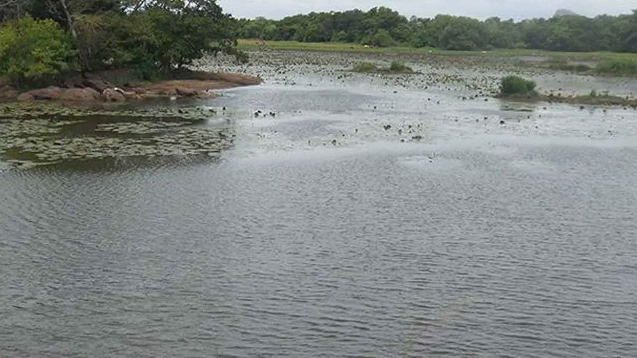 Rs. 5.8bn World Bank programme begins on 296 minor tanks, most damaged by Cyclone Ditwah