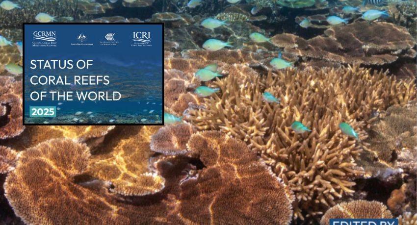 South Asia's reefs recovered — but Sri Lanka's shelf declined