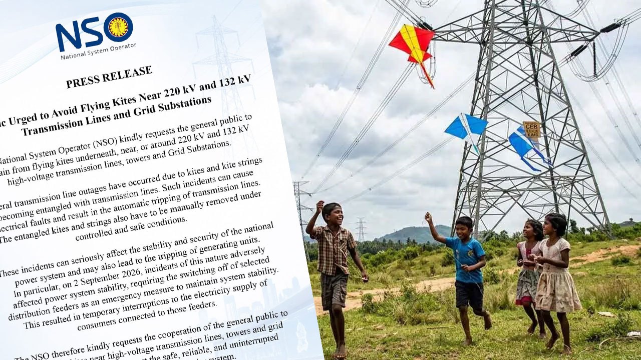 Kite strings forced emergency feeder shutdowns on Wednesday, grid operator says