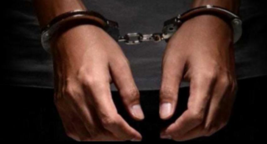 Nine arrested over assault on wildlife officers at Riverston