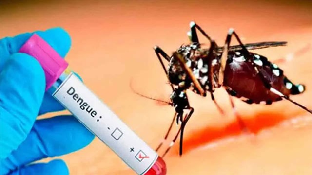 Dengue death toll rises to 73 as Sri Lanka's case total reaches 96,228