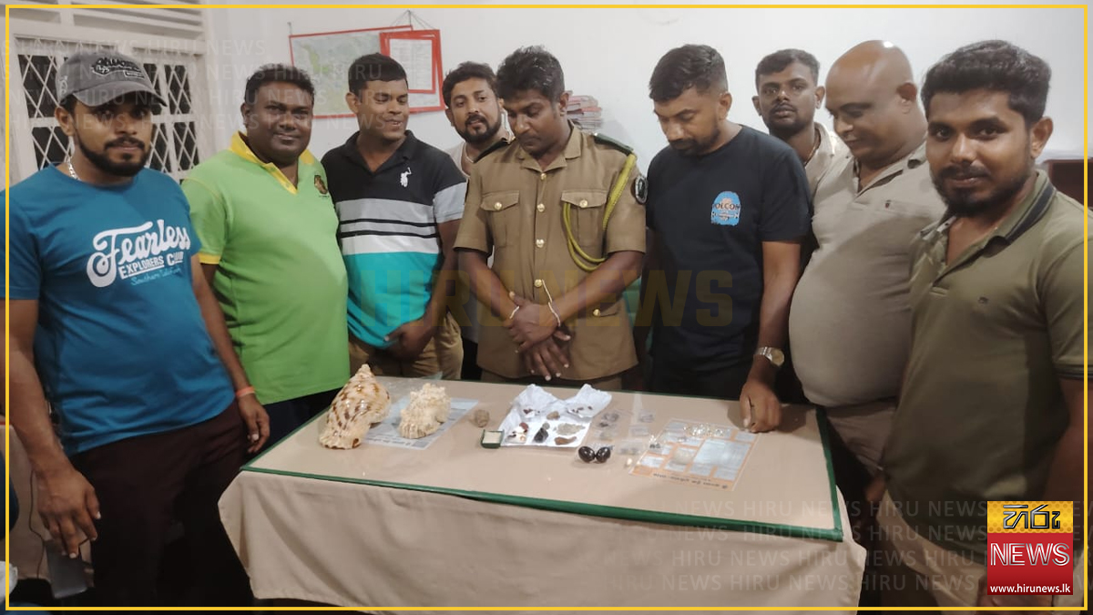 Three fined Rs. 525,000 over protected seashells in Kurunegala, eight months after arrest