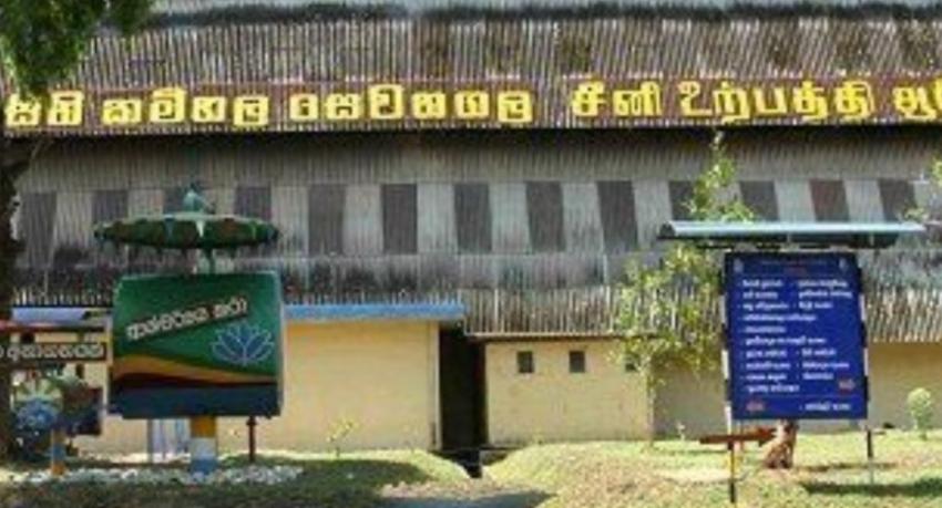 Sevanagala sugar strike cost Rs. 250 million, company says as production restarts