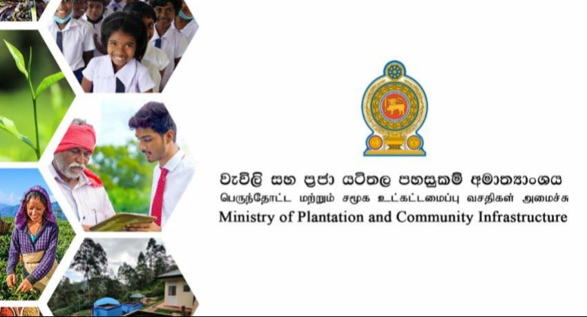 Plantation workers to receive Rs. 4.5 billion in gratuity unpaid for 20 years