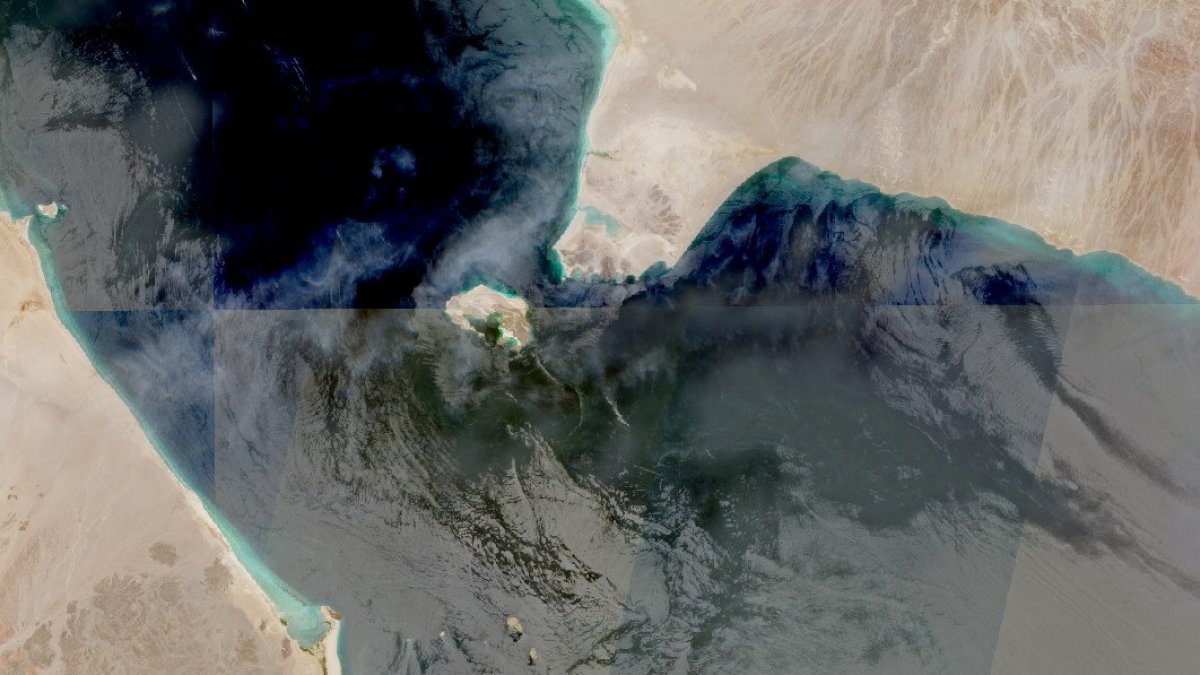 Houthis take Perim Island, completing control of the Bab al-Mandeb strait