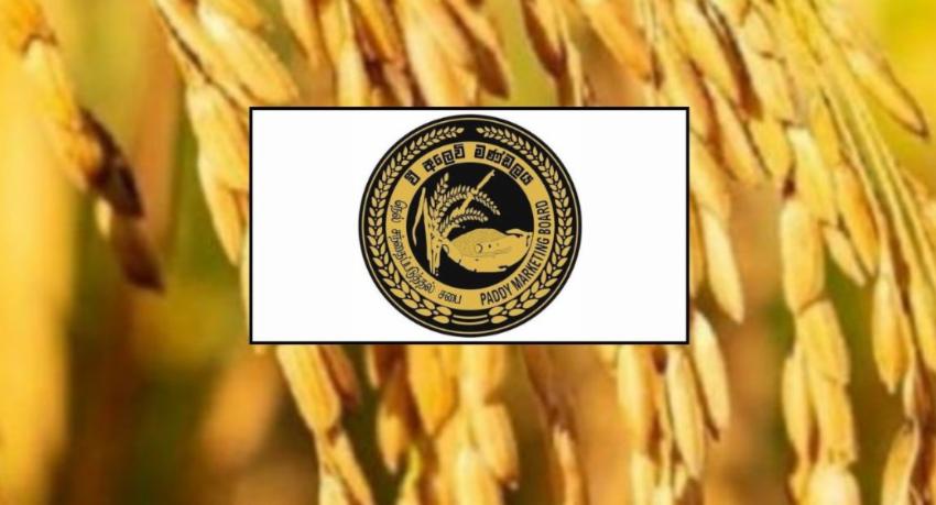 State paddy purchases reach 64,838 tonnes at a cost of Rs. 7.9 billion