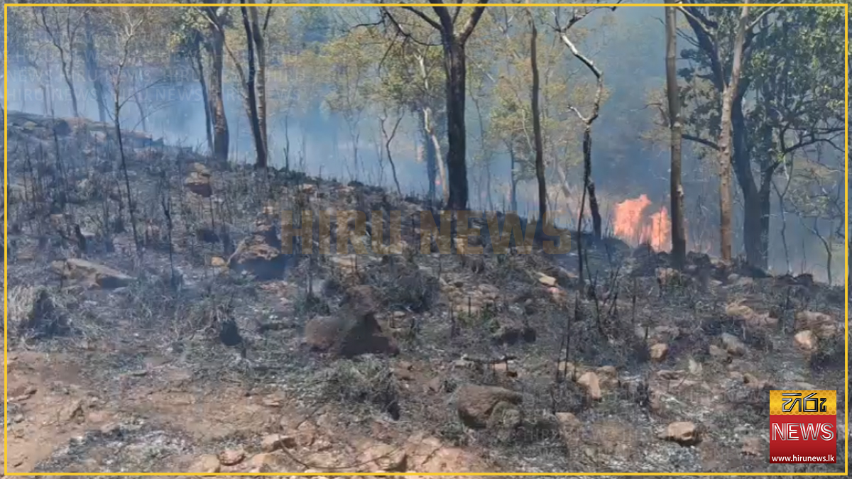 Wildfire breaks out in Kuragala forest reserve