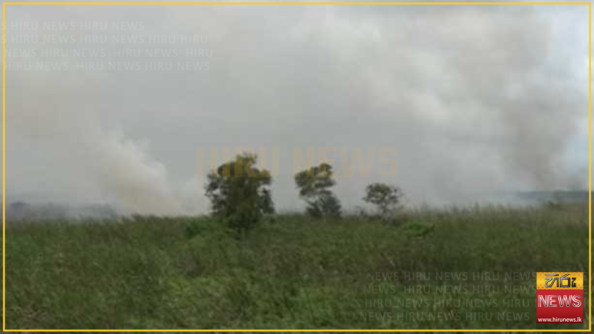 Air Force Bell 412 deployed against fire spreading in Muthurajawela Sanctuary