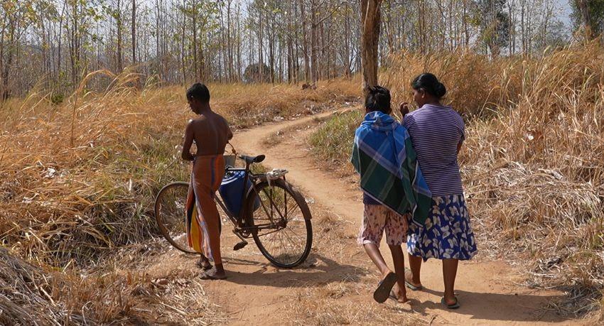 Moneragala family spends nights in a tree as drought drives elephants into villages