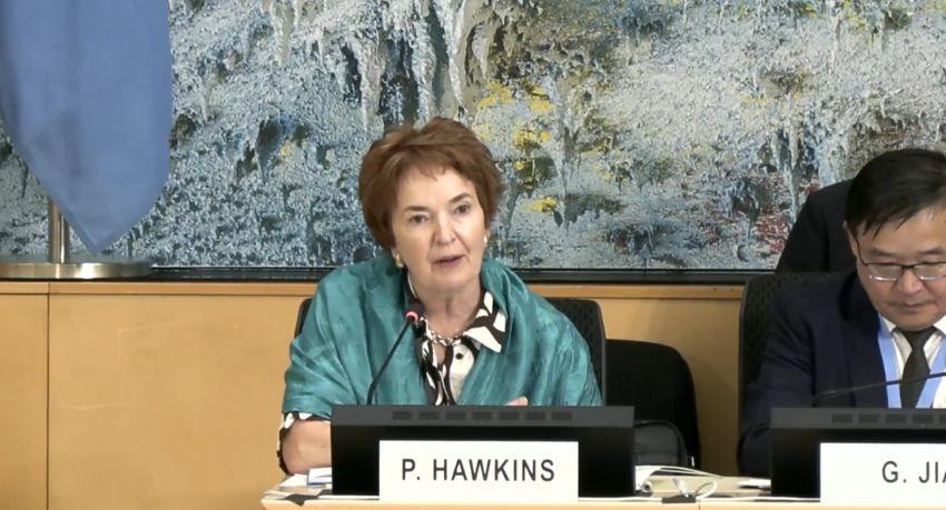 UNCTAD debt chief says borrowing at home costs developing states a 'sovereignty premium'