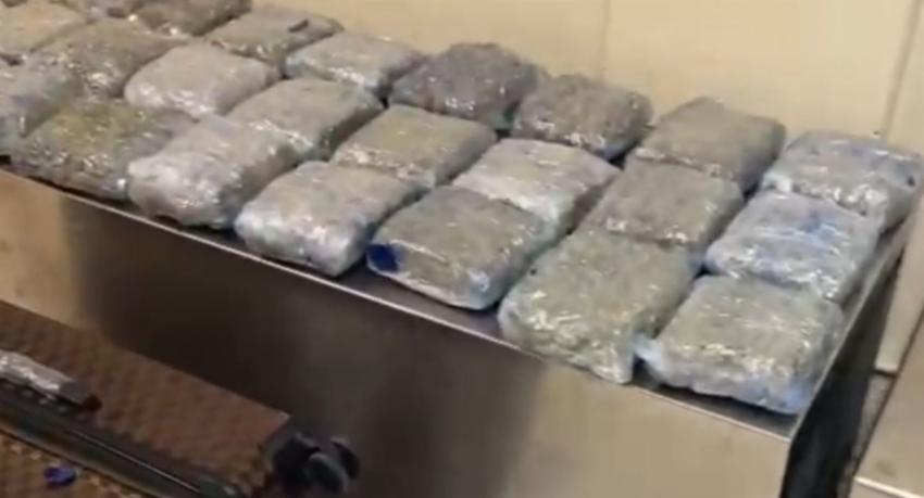 Rs. 320 million of Kush found in two suitcases abandoned at Katunayake Airport