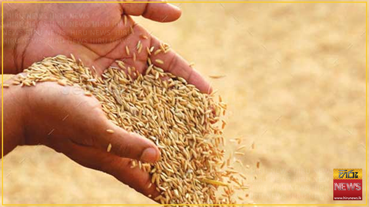 Cabinet adds Rs. 2.5 billion for Yala paddy purchases as harvest runs past its budget