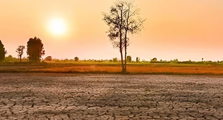 Livelihood survey begins as dry-weather toll reaches 163,869 across eight districts