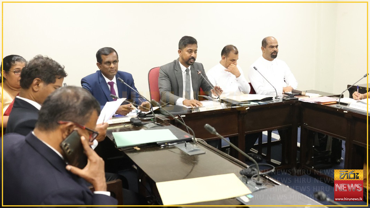 Remand, not conviction, is filling the prisons — committee backs video hearings and faster analyst reports