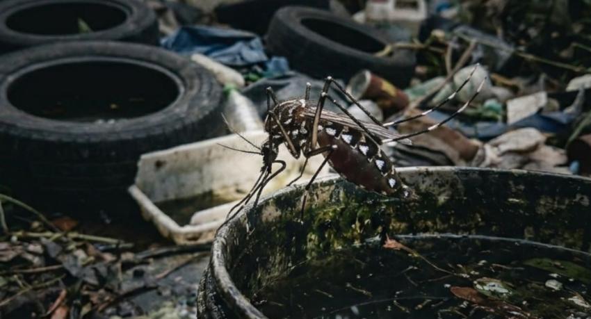 Dengue cases climb to 1,276 in a week as rains persist