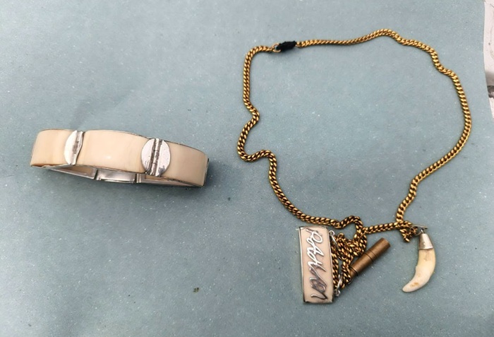 Two arrested in Matara over ivory and protected-animal ornaments
