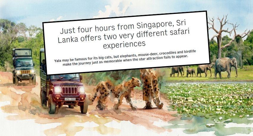 Singapore's CNA features Sri Lankan safaris, setting Yala's leopards against Gal Oya's quiet water