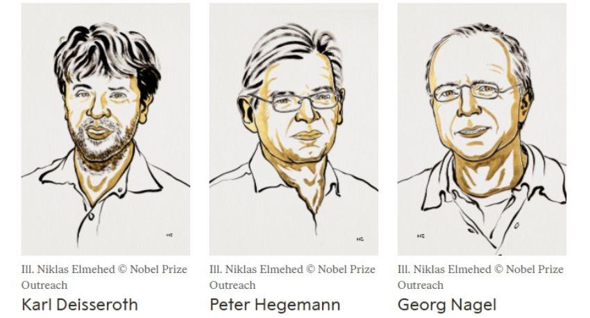 Nobel medicine prize goes to the three scientists behind optogenetics