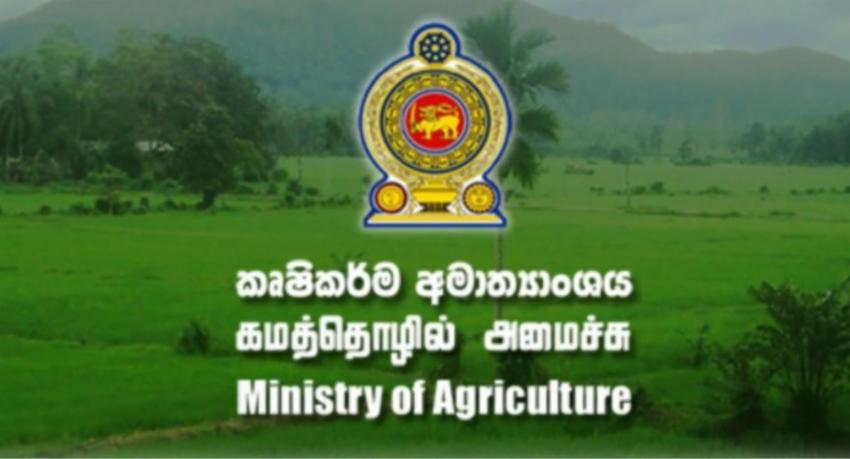 Farm subsidy doubled to Rs. 60,000 a hectare — nine days after Cabinet funded it at half that rate