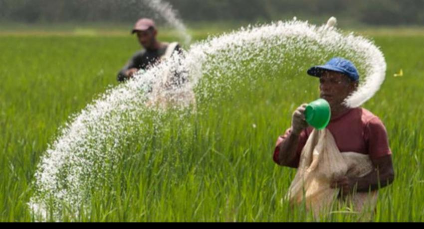 Three urea ships due this month for Maha — and the 180,000-tonne figure has changed meaning