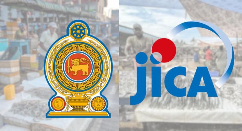 Sri Lanka and JICA to study fish wastage before launching a post-harvest loss project