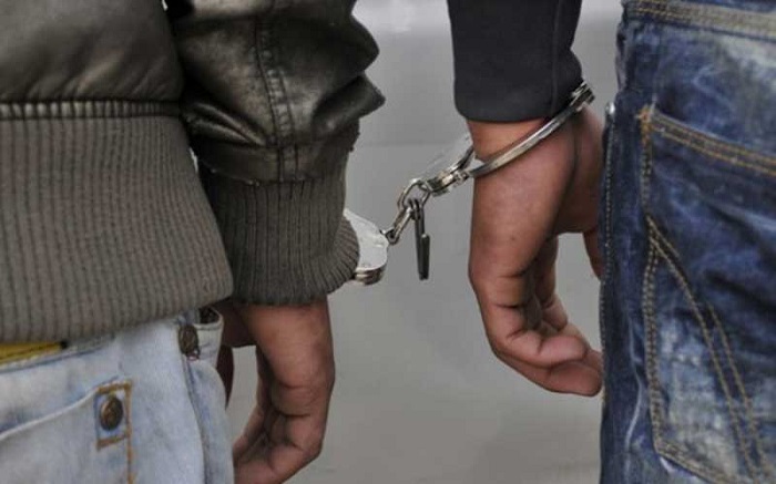 Four arrested with 26.7 kg of cannabis in Udawalawa police raid
