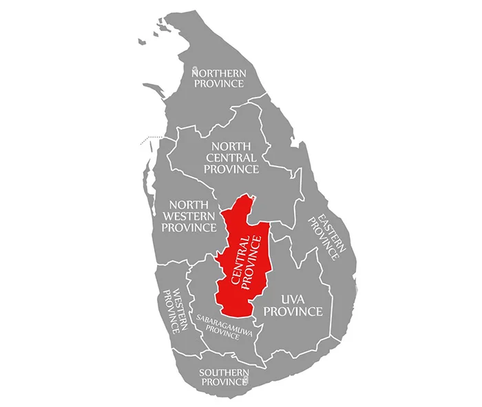 Central Province Falls to 8th in 2025 A/L Rankings, Second from Bottom
