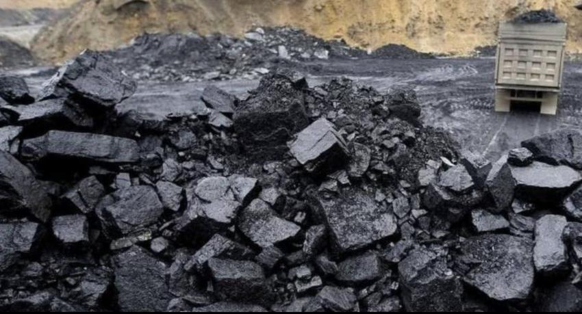 Presidential coal commission records statements from 40 officials, open hearings due in July