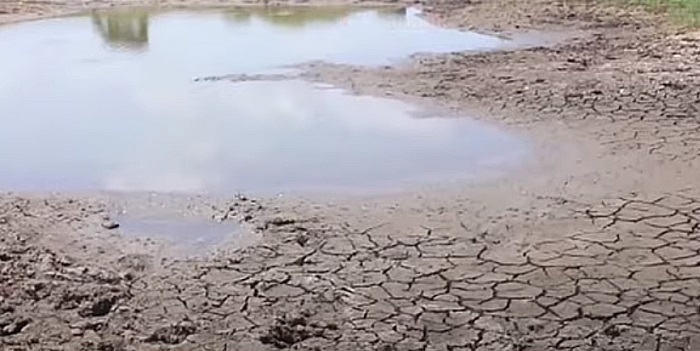 El Niño Could Trigger Prolonged Drought Until September, Met Department Warns