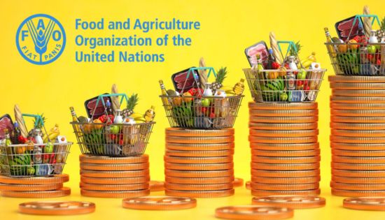 Global Food Prices Jump in March as Middle East Conflict Drives Up Energy Costs